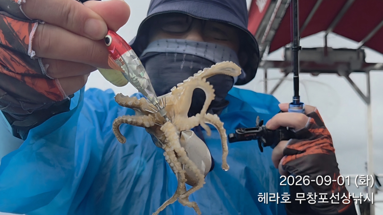 9월 1일 주꾸미 선상낚시 조황 현장 사진 4