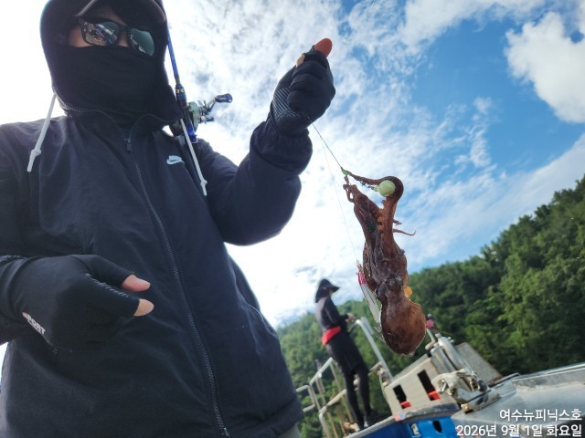 9월 1일 남해 주꾸미 선상낚시 조황 현장 사진 3