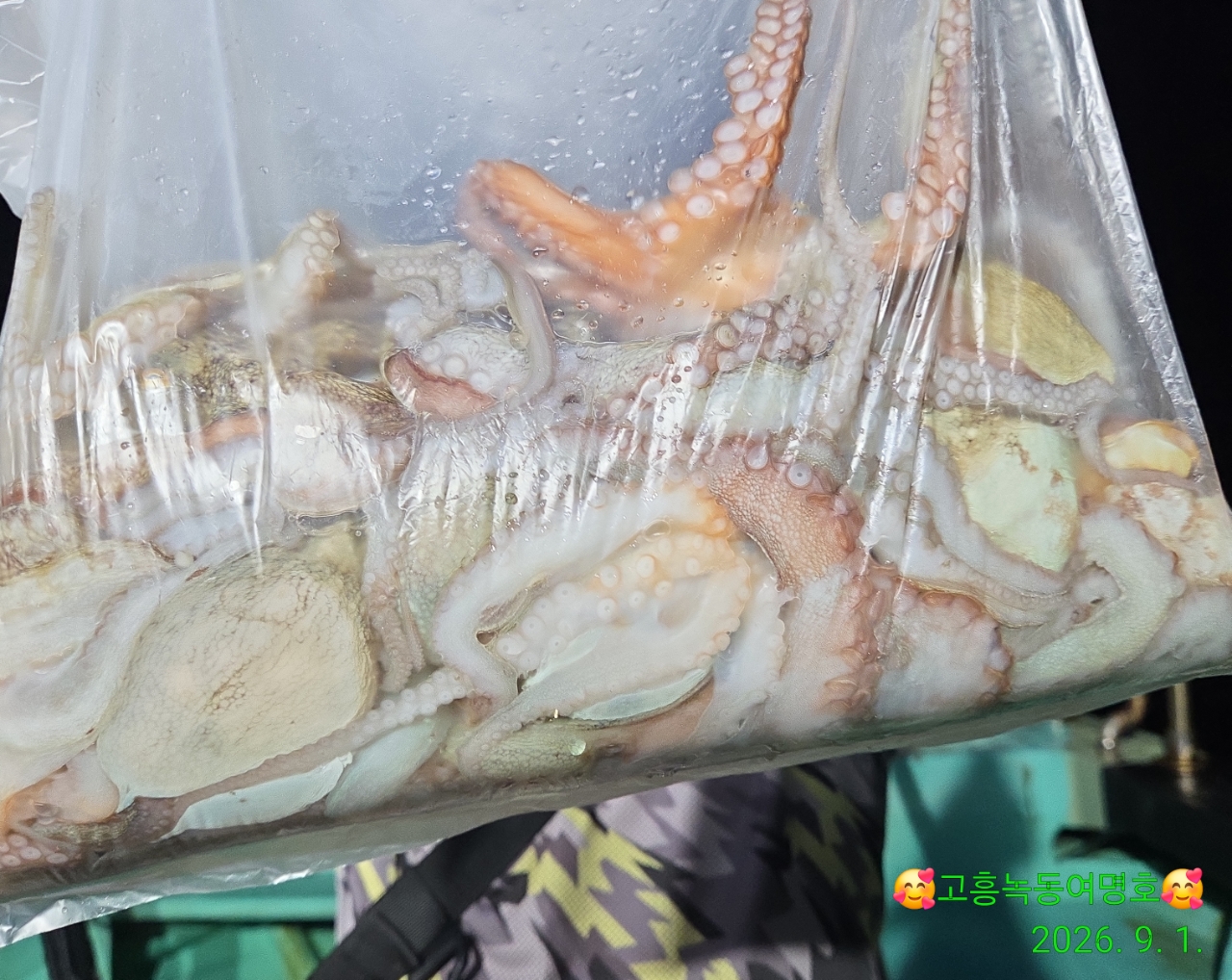 9월 1일 고흥 문어 선상낚시 조황 현장 사진 8