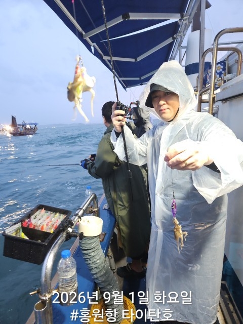 9월 1일 서천 갑오징어 선상낚시 조황 현장 사진 5