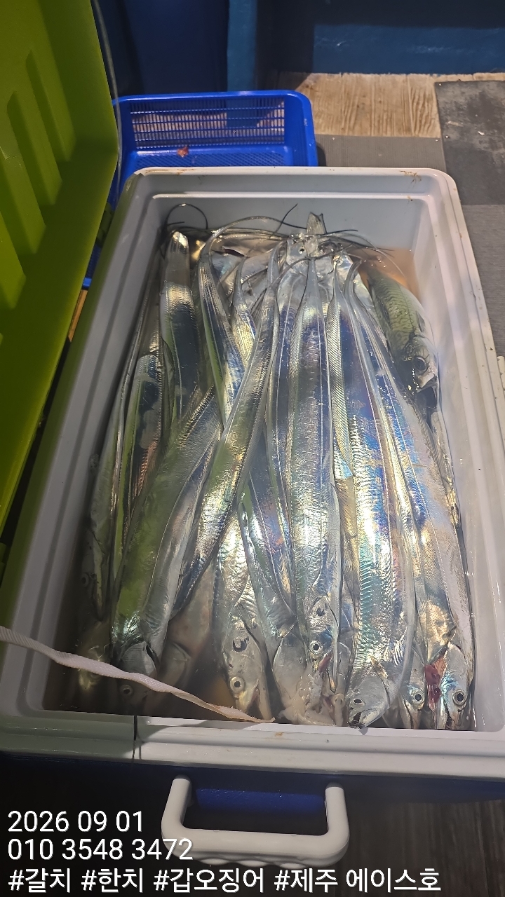 9월 1일 갈치 선상낚시 조황 현장 사진 11