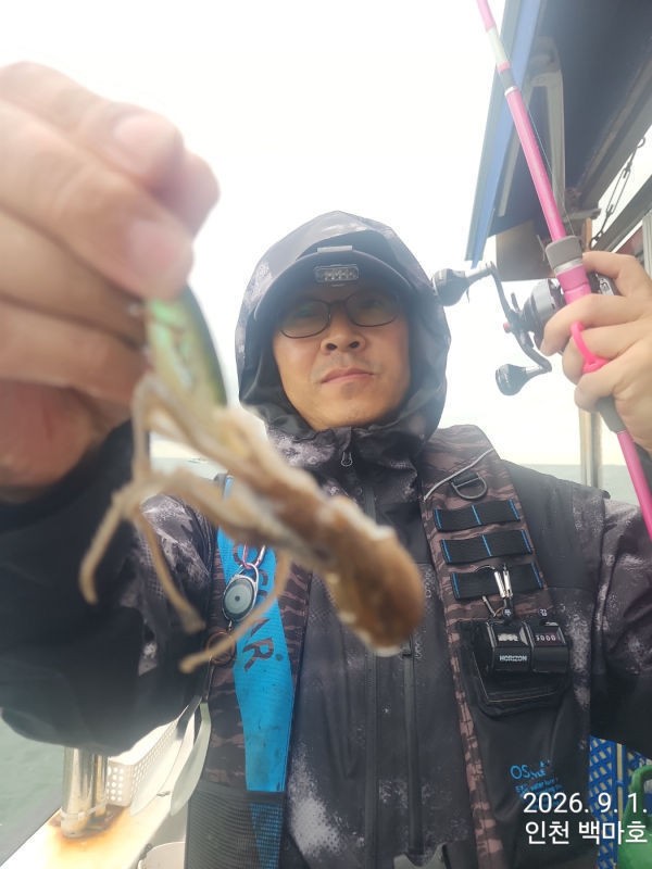9월 1일 인천 갑오징어 선상낚시 조황 현장 사진 43