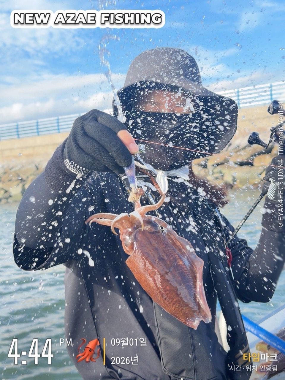 9월 1일 삼천포 갑오징어 선상낚시 조황 현장 사진 14