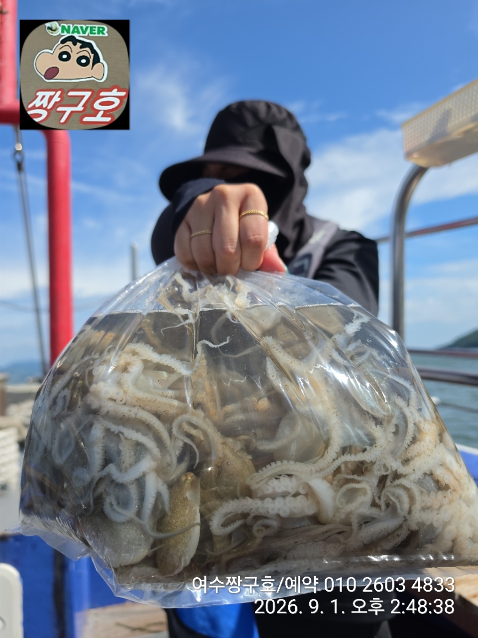 9월 1일 여수 문어 선상낚시 조황 현장 사진 6
