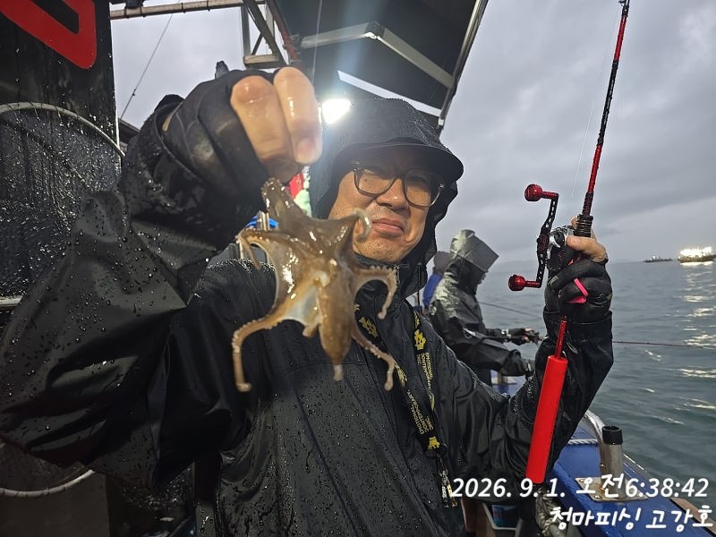 9월 1일 인천 갑오징어 선상낚시 조황 현장 사진 24