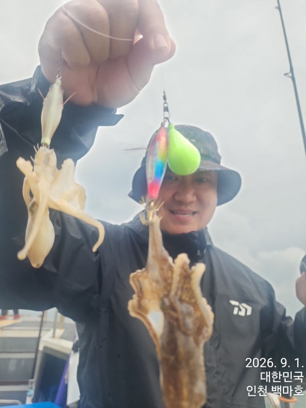 9월 1일 인천 갑오징어 선상낚시 조황 현장 사진 48