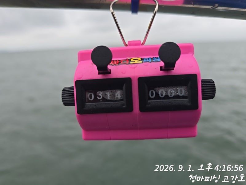 9월 1일 인천 갑오징어 선상낚시 조황 현장 사진 22
