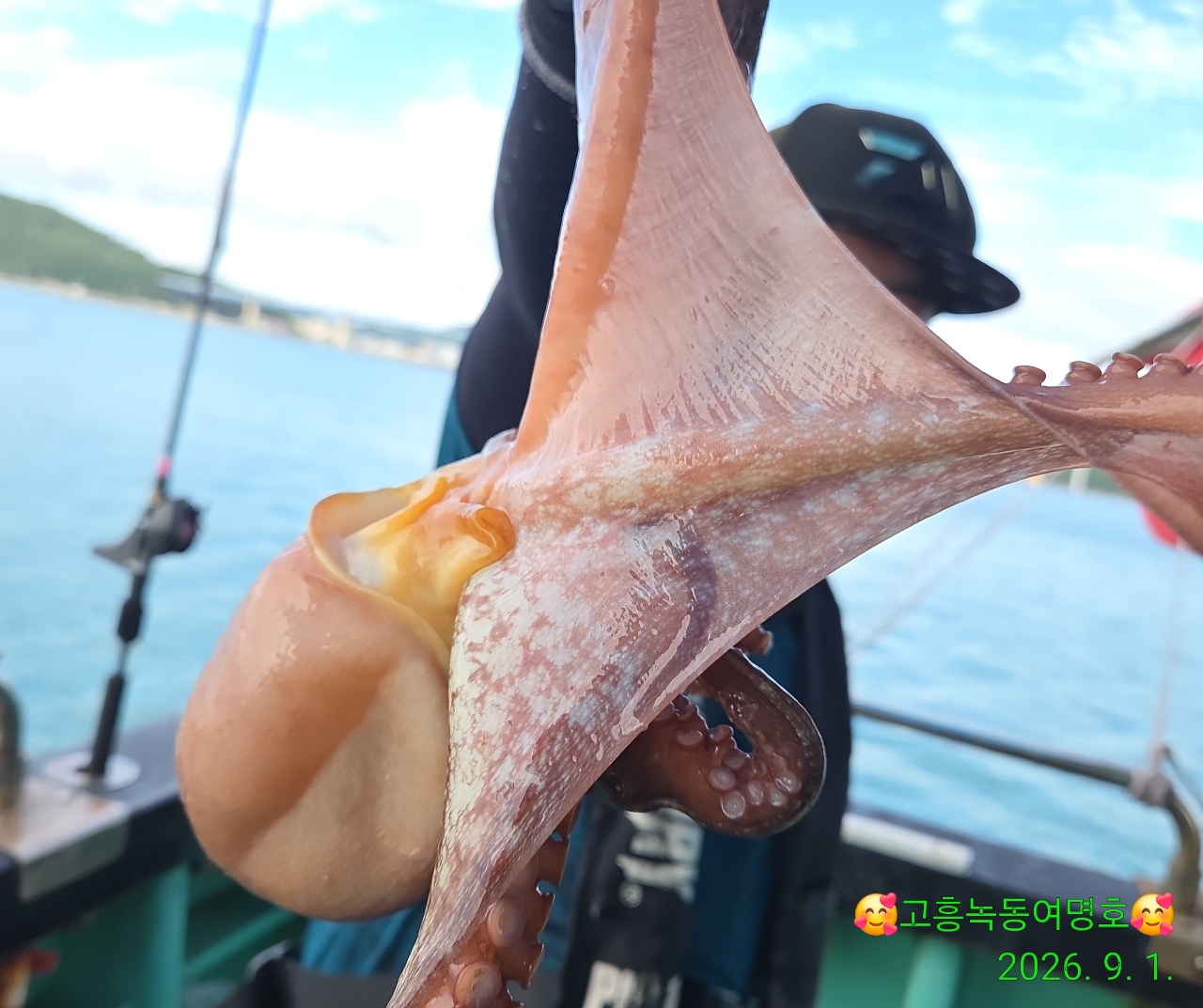 9월 1일 고흥 문어 선상낚시 조황 현장 사진 13
