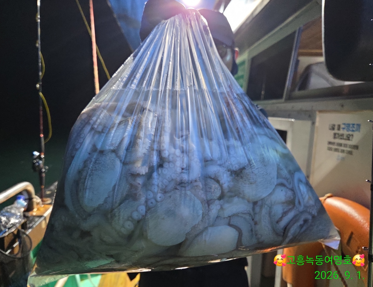 9월 1일 고흥 문어 선상낚시 조황 현장 사진 2