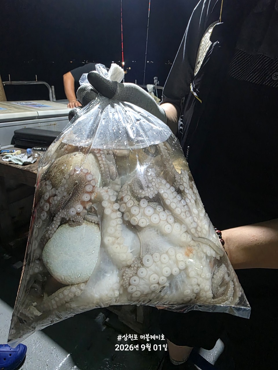 9월 2일 문어 선상낚시 조황 현장 사진 3