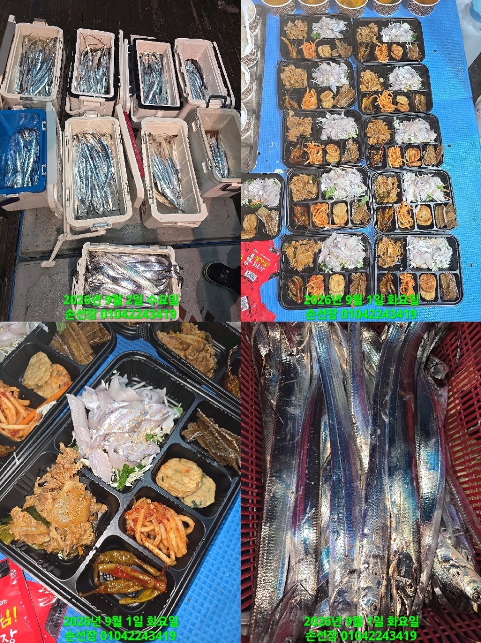 9월 2일 갈치 선상낚시 조황 현장 사진 7