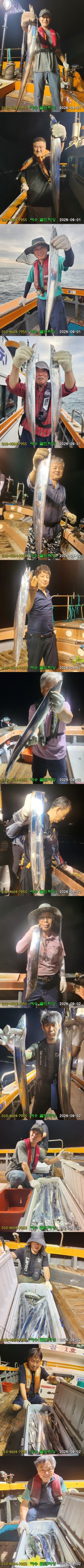 9월 2일 여수 갈치 선상낚시 조황 현장 사진 2