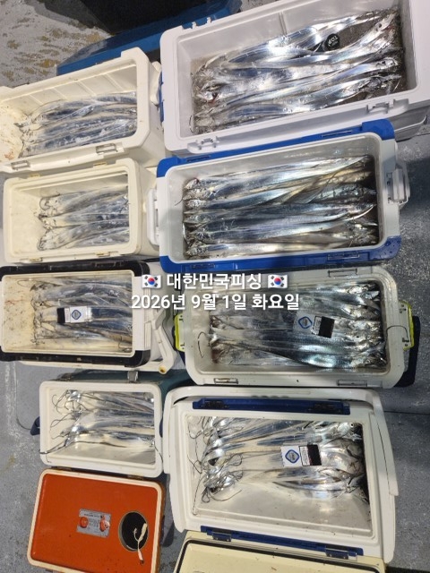 9월 4일 갈치 선상낚시 조황 현장 사진 6