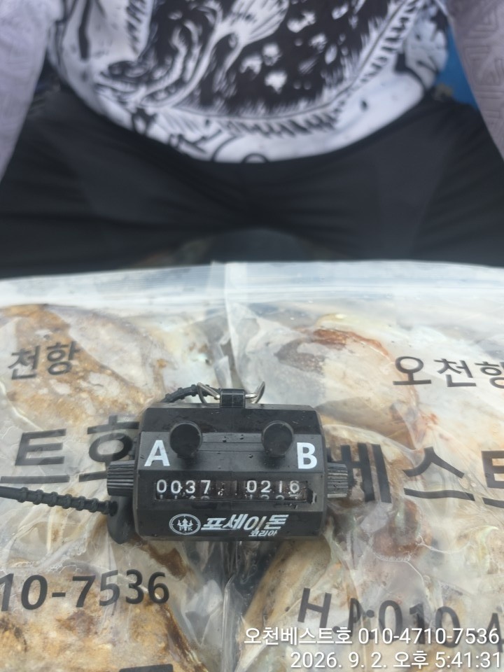 9월 2일 갑오징어 선상낚시 조황 현장 사진 2