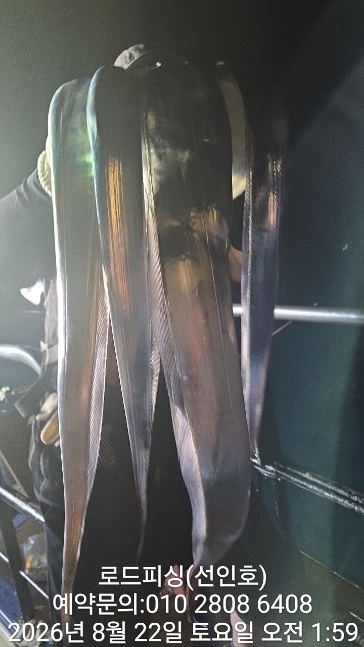 9월 2일 고성 갈치 선상낚시 조황 현장 사진 10