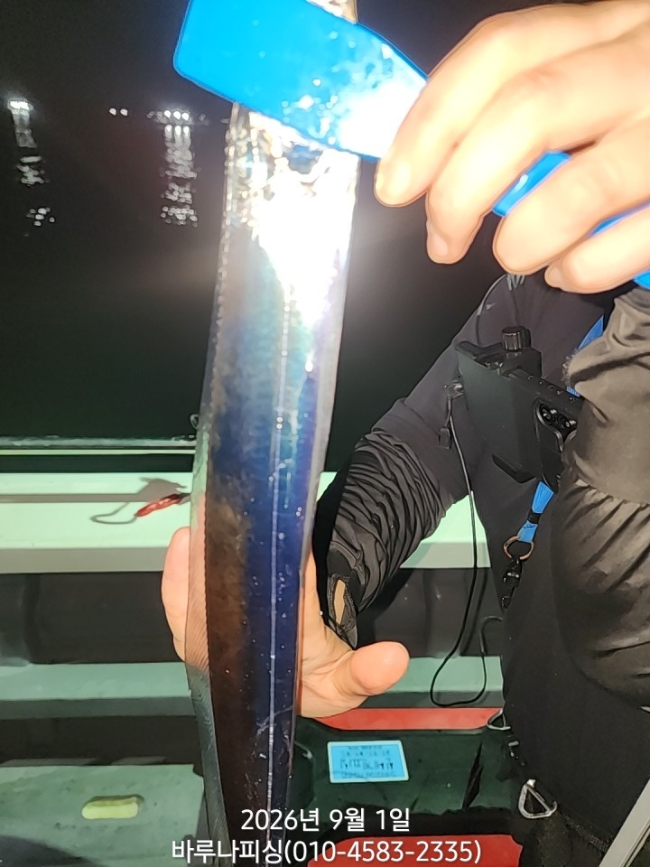 9월 1일 갈치 선상낚시 조황 현장 사진 2