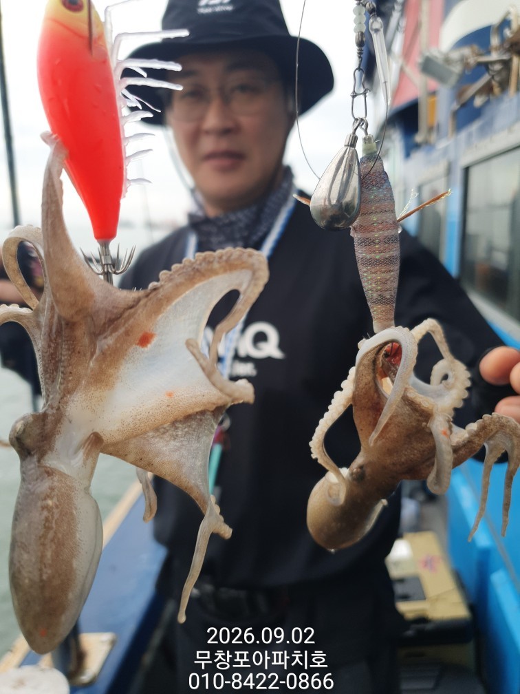 9월 2일 포항 주꾸미 선상낚시 조황 현장 사진 19
