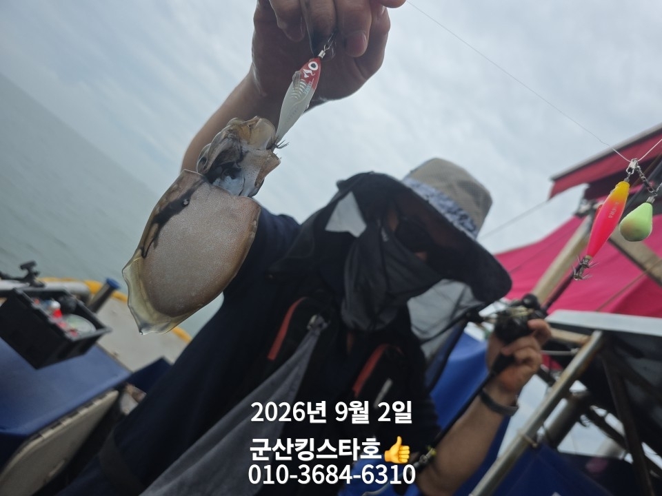9월 2일 군산 주꾸미 선상낚시 조황 현장 사진 2