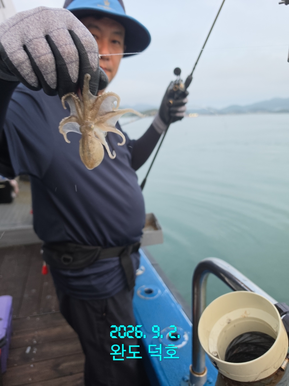 9월 2일 완도 주꾸미 선상낚시 조황 현장 사진 10