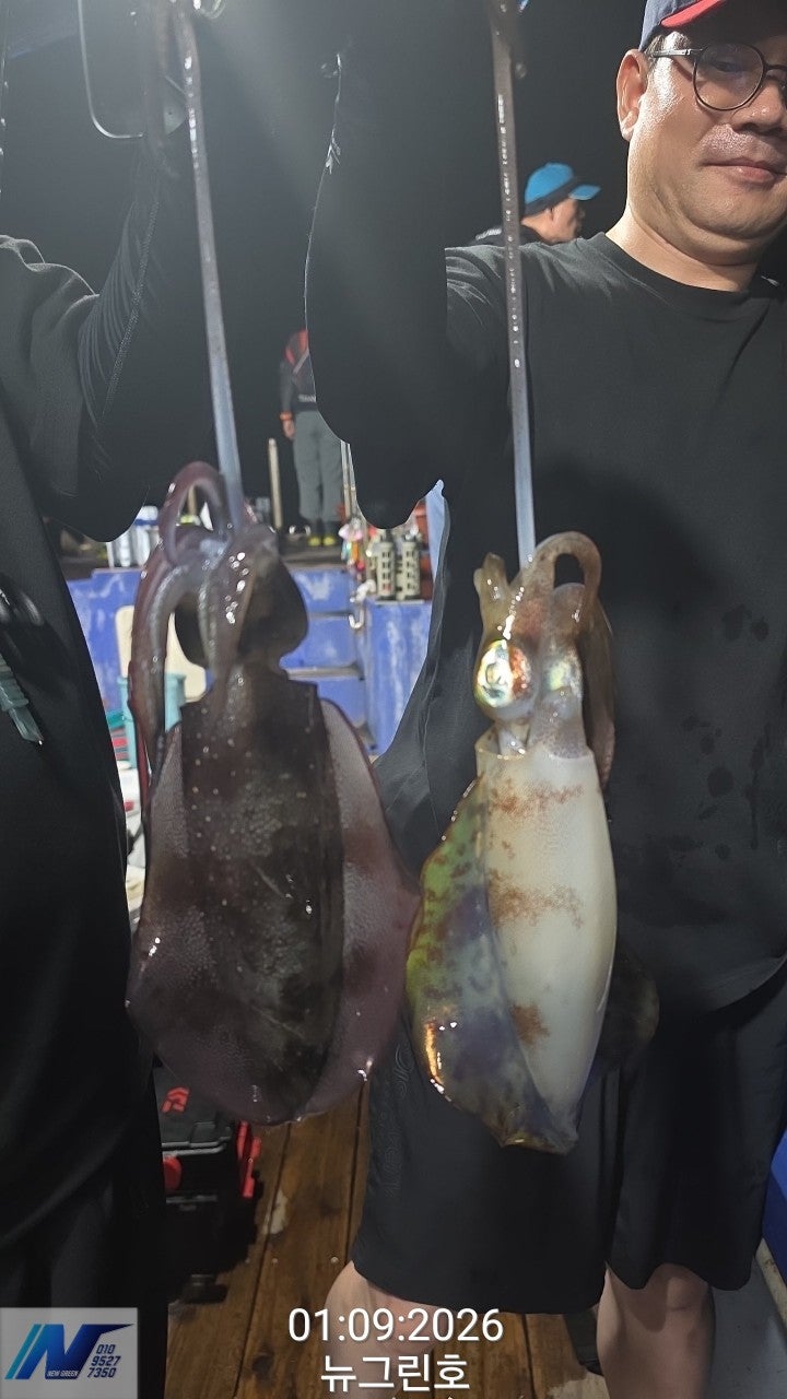 ����ڰ� �ø� �̹���