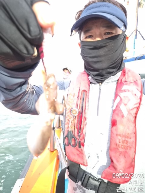 9월 2일 군산 갑오징어 선상낚시 조황 현장 사진 14