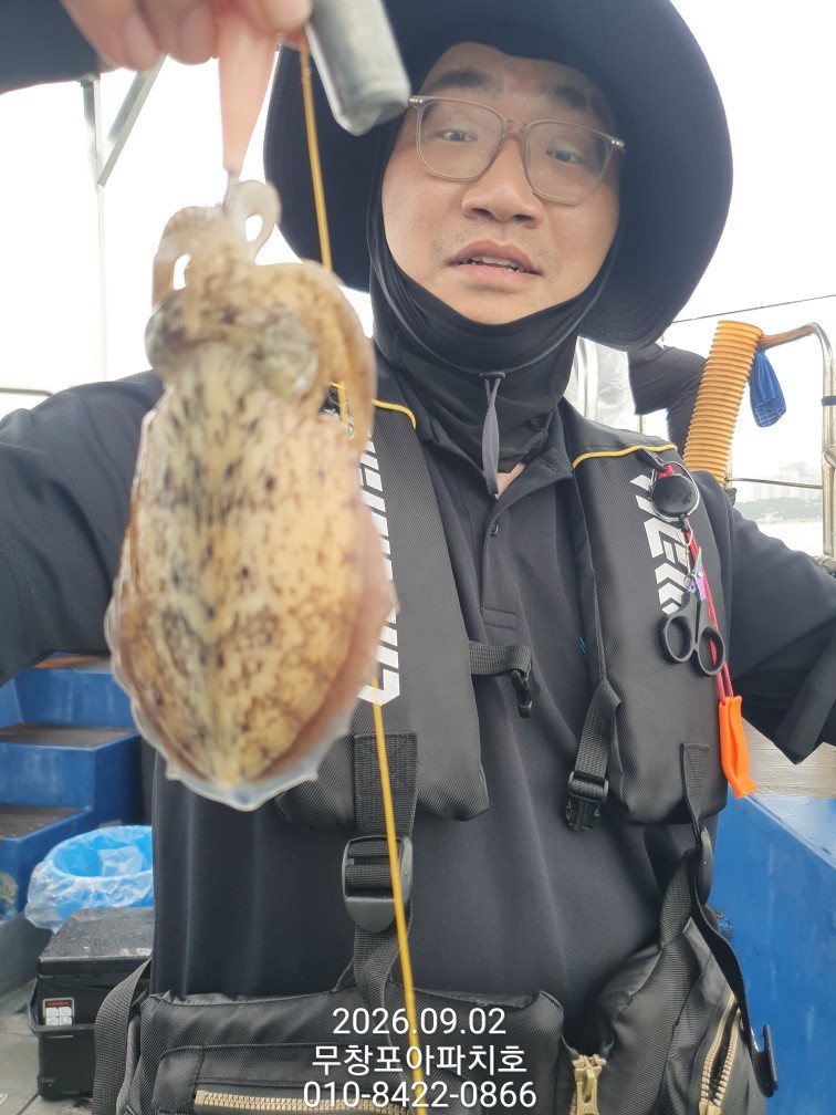 9월 2일 포항 주꾸미 선상낚시 조황 현장 사진 15