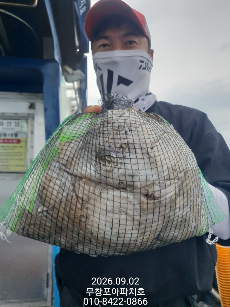 9월 2일 포항 주꾸미 선상낚시 조황 현장 사진 7