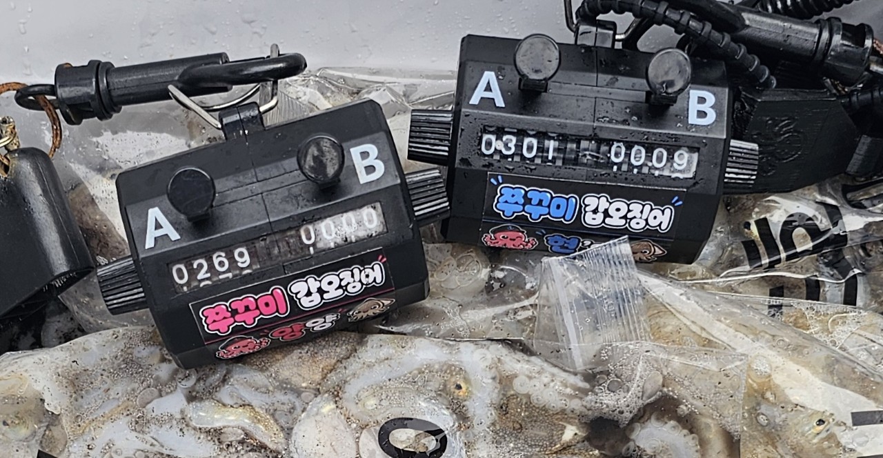 9월 2일 주꾸미 선상낚시 조황 현장 사진 3