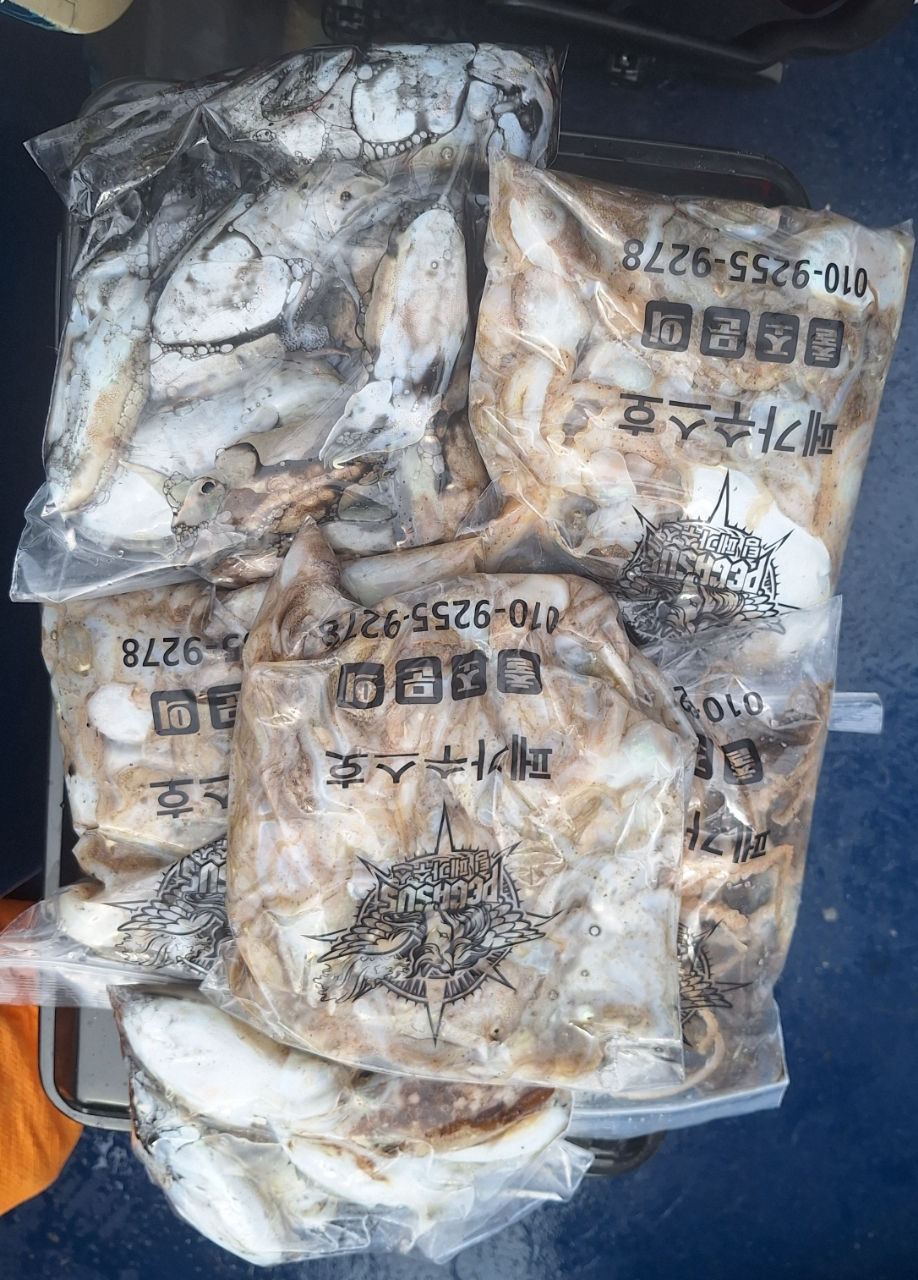 9월 2일 갑오징어 선상낚시 조황 현장 사진 6
