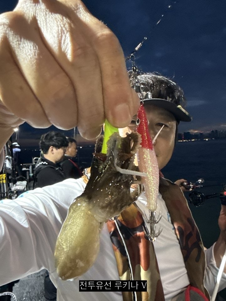사용자가 올린 이미지
