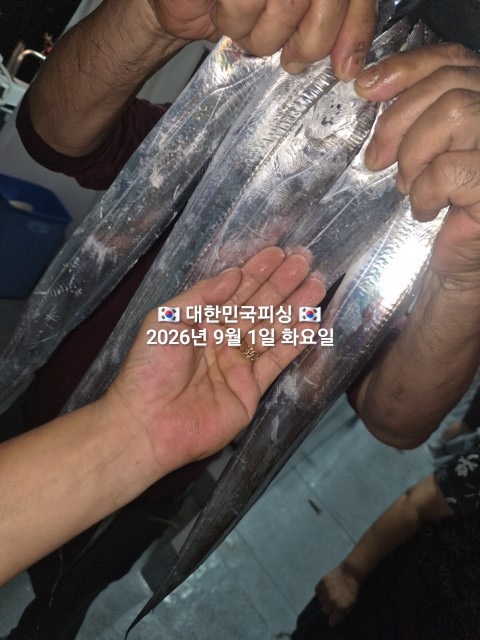 9월 4일 갈치 선상낚시 조황 현장 사진 2