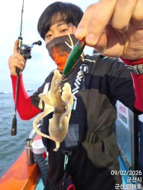 9월 2일 군산 갑오징어 선상낚시 조황 현장 사진 11