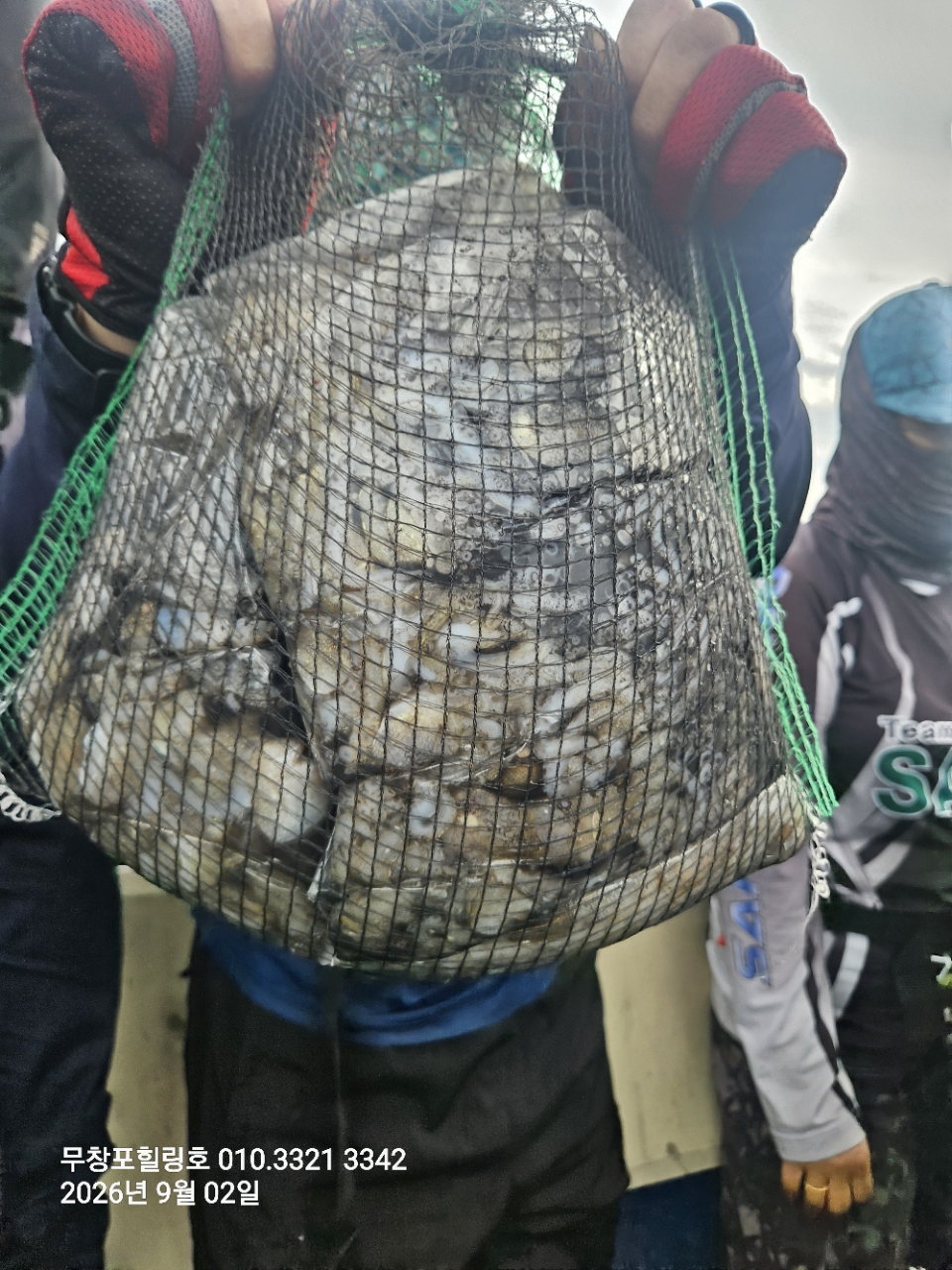 9월 2일 보령 주꾸미 선상낚시 조황 현장 사진 6
