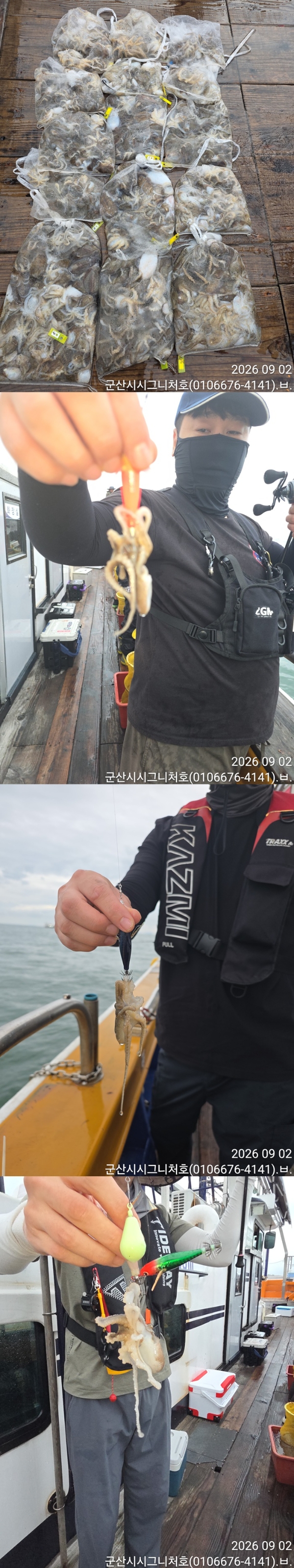 9월 2일 군산 주꾸미 선상낚시 조황 현장 사진 2