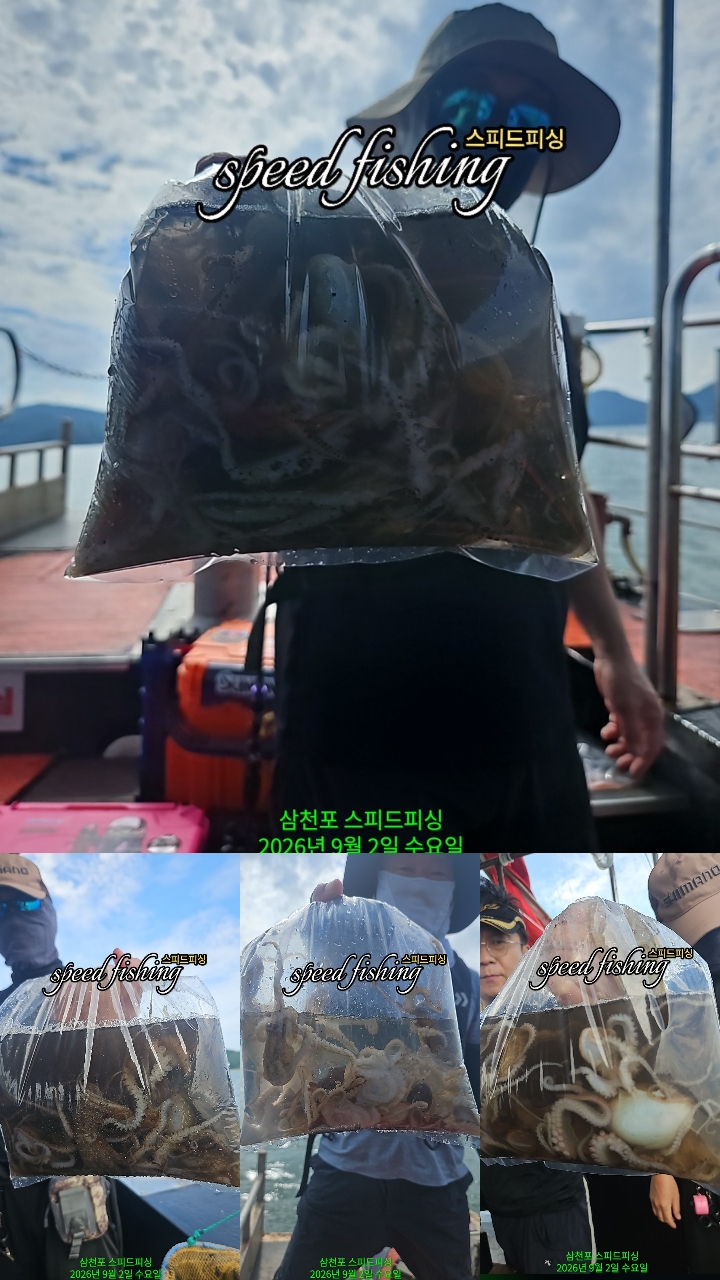 9월 2일 삼천포 주꾸미 선상낚시 조황 현장 사진 5