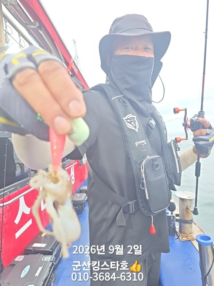 9월 2일 군산 주꾸미 선상낚시 조황 현장 사진 8