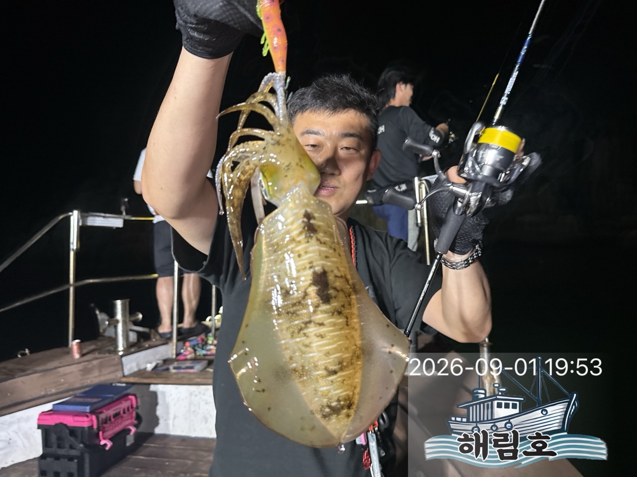 9월 1일 여수 무늬오징어 선상낚시 조황 현장 사진 2