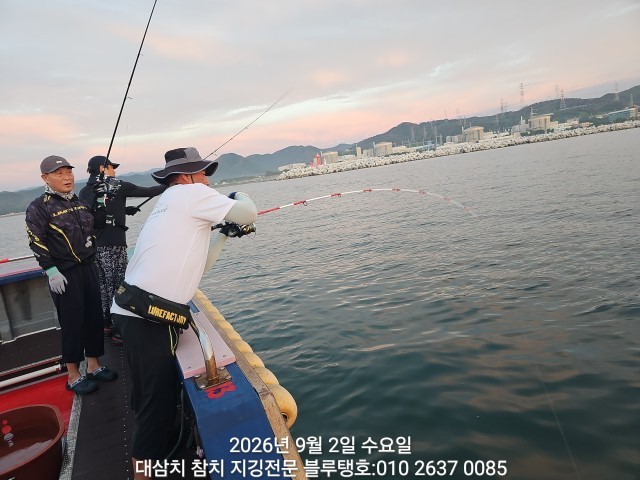 9월 2일 경주 선상낚시 조황 현장 사진 38
