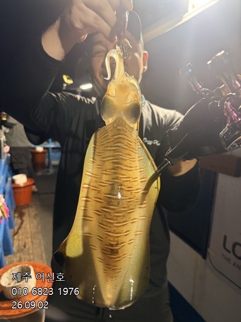 9월 1일 제주 무늬오징어 선상낚시 조황 현장 사진 6