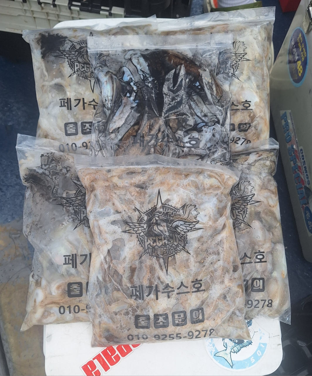 9월 2일 갑오징어 선상낚시 조황 현장 사진 9