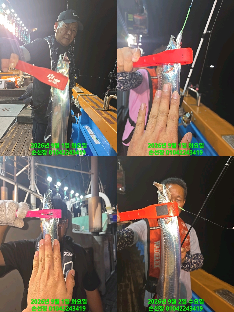 9월 2일 갈치 선상낚시 조황 현장 사진 2
