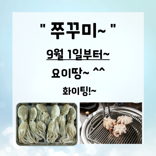 9월 2일 군산 주꾸미 선상낚시 조황 현장 사진 7