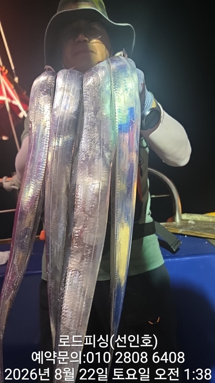 9월 2일 고성 갈치 선상낚시 조황 현장 사진 11