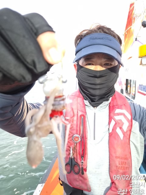 9월 2일 군산 갑오징어 선상낚시 조황 현장 사진 6