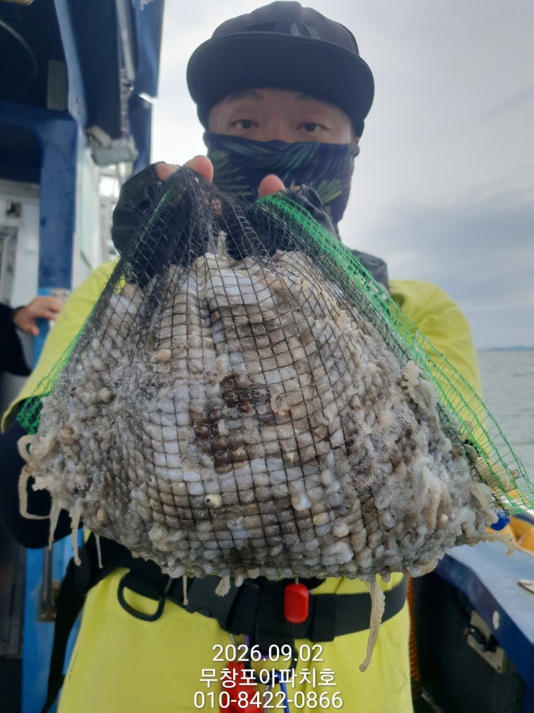 9월 2일 포항 주꾸미 선상낚시 조황 현장 사진 8