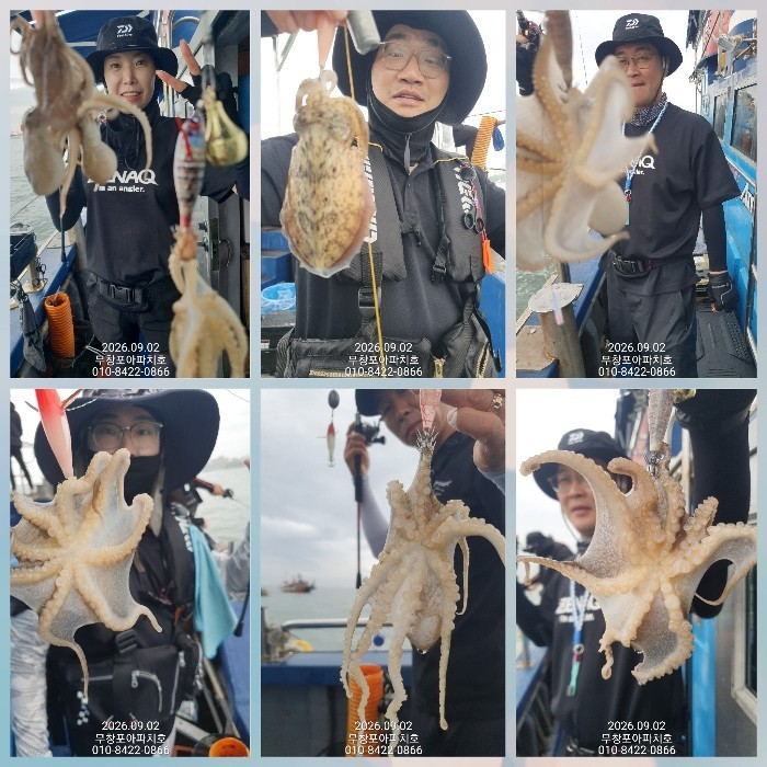 9월 2일 포항 주꾸미 선상낚시 조황 현장 사진 4