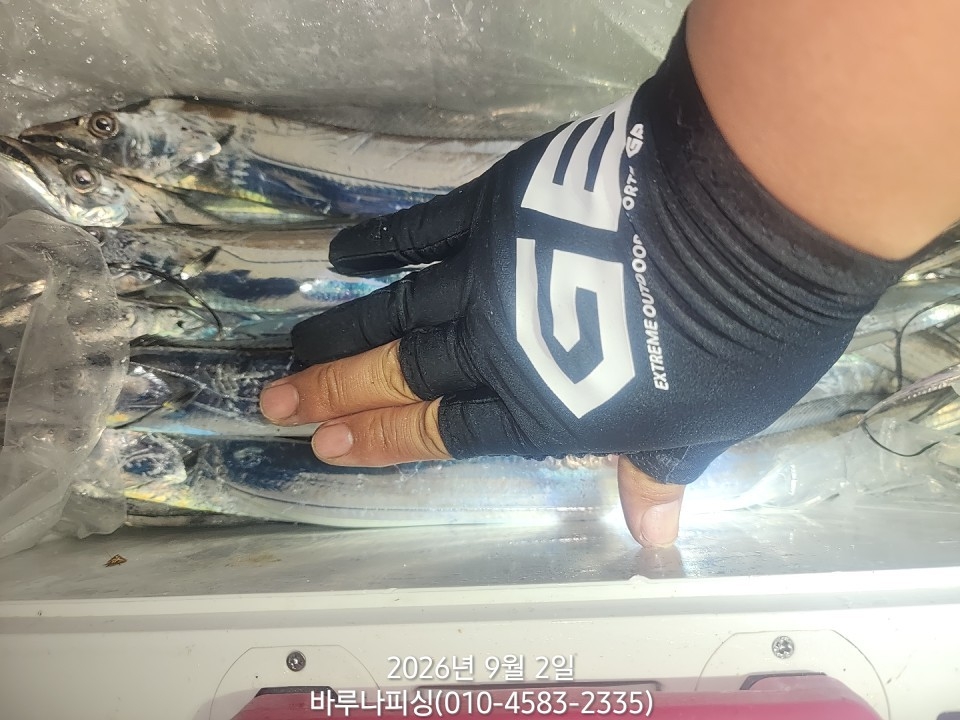 9월 1일 갈치 선상낚시 조황 현장 사진 10