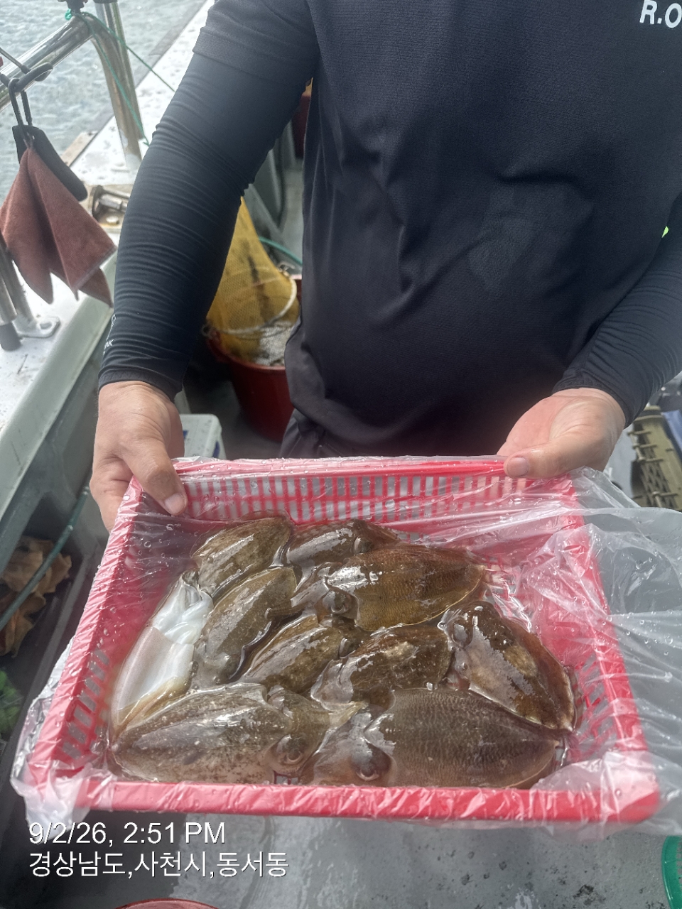 9월 2일 삼천포 갑오징어 선상낚시 조황 현장 사진 9