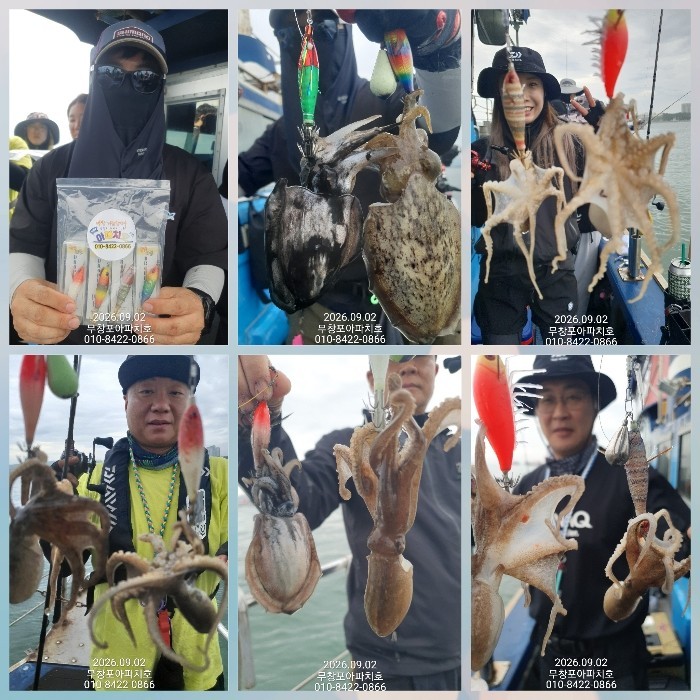 9월 2일 포항 주꾸미 선상낚시 조황 현장 사진 3