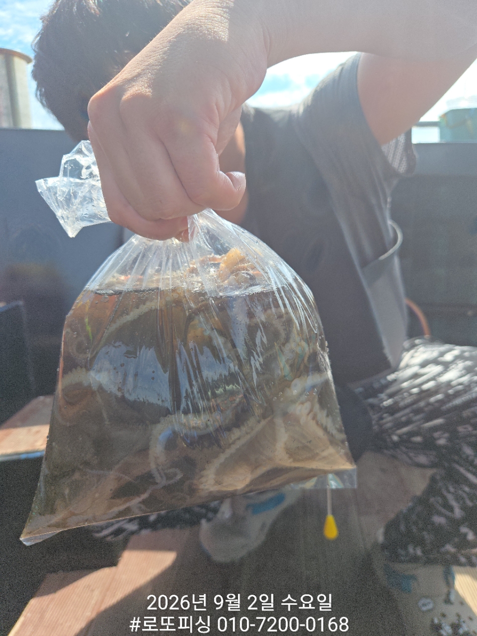 9월 2일 삼천포 문어 선상낚시 조황 현장 사진 3